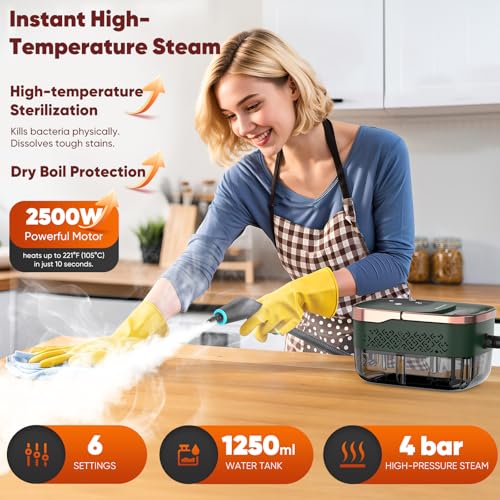 Handheld Steam Cleaner for Home - Green/Gold 1250ml Pressurized Steamer
