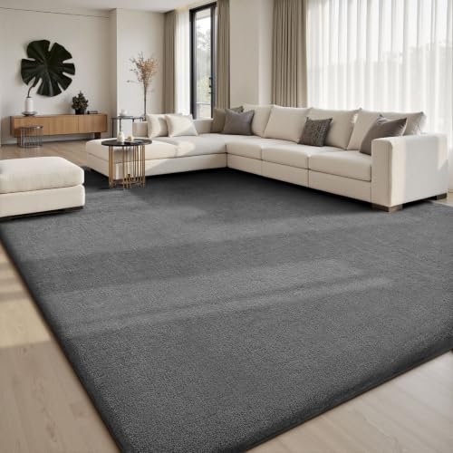Dark Grey 8x10 Area Rug for Living Room & Bedroom - Soft Non-Slip Carpet