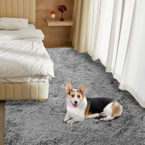 Fairblink 5x8 Grey Ultra Soft Shag Area Rug for Living Room & Bedroom