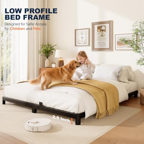 Queen Bed Frame - Black Low Profile Metal Platform Bed with Round Legs - Queen (U.S. Standard) Variation