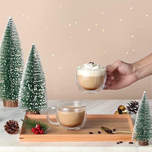 CNGLASS 8oz Double Wall Insulated Glass Coffee Mugs Set of 4 – Clear Borosilicate Latte & Espresso Cups