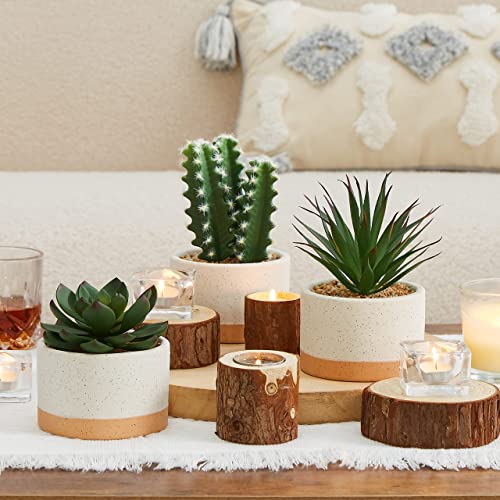 ASTRIDIA Artificial Succulent Plants Set of 3 in Burlywood Ceramic Pots