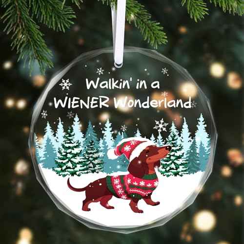 Christmas Ornaments 2025 - Dachshund Christmas Decorations Weiner Dog Decor Dachshund Gifts for Women Glass Christmas Dachshund Ornament with Box