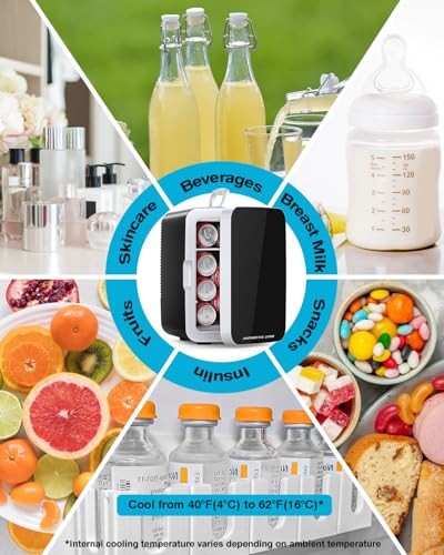 Antarctic Star 10L Compact Mini Fridge - Black Portable Cooler for Food, Drinks & Makeup