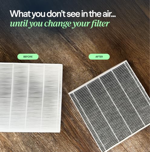 Blueair Genuine Classic 400 Series Air Purifier Replacement Particle Filter – Includes Variation 400 Series Filters