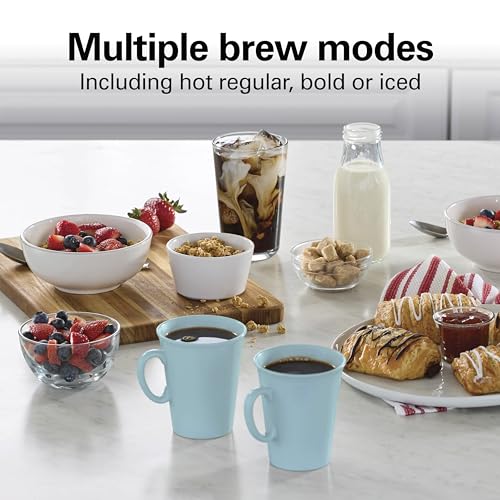 Hamilton Beach 12 Cup Programmable Drip Coffee Maker with 3 Brew Strengths - Hot & Iced Coffee