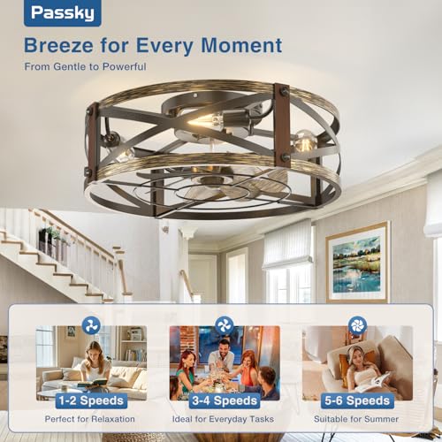 Black Brushed Gold 20-Inch Caged Ceiling Fan with Lights & Remote - Low Profile Fandelier