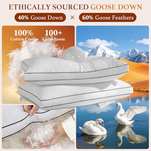 Queen Size Canadian Goose Down Pillow Set of 2 - Premium Luxury Bedding