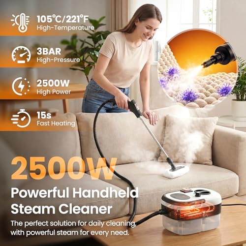 Portable Handheld Steam Cleaner Black 2500W for Home & Car Detailing