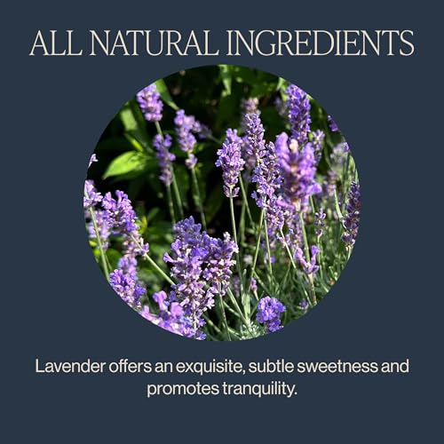Lavender Mint Organic Herbal Tea Bags - 50ct Sachets - Caffeine Free | Variation of THIS listing