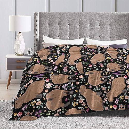 Capybara Blanket Capybara Gifts Animal Lover Capybara Plush Birthday Decoration for Girls Boys Kids Blanket for Bedroom Couch Sofa Bedroom Camping Travel Women Men, 40"x50"