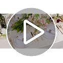 White and Gold Disposable Plates Set for Weddings and Events - 50 Pieces
