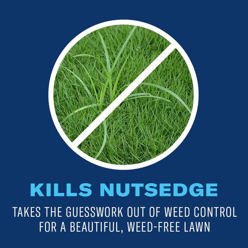 BioAdvanced Lawn Weed Killer - Season Long Concentrate, 32oz | Effective Weed Control for Healthy Lawns