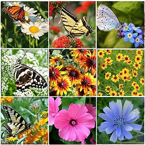 Perennial Wildflower Seeds - 31 Varieties, 100,000+ Non-GMO Seeds for Hummingbird & Butterfly Gardens