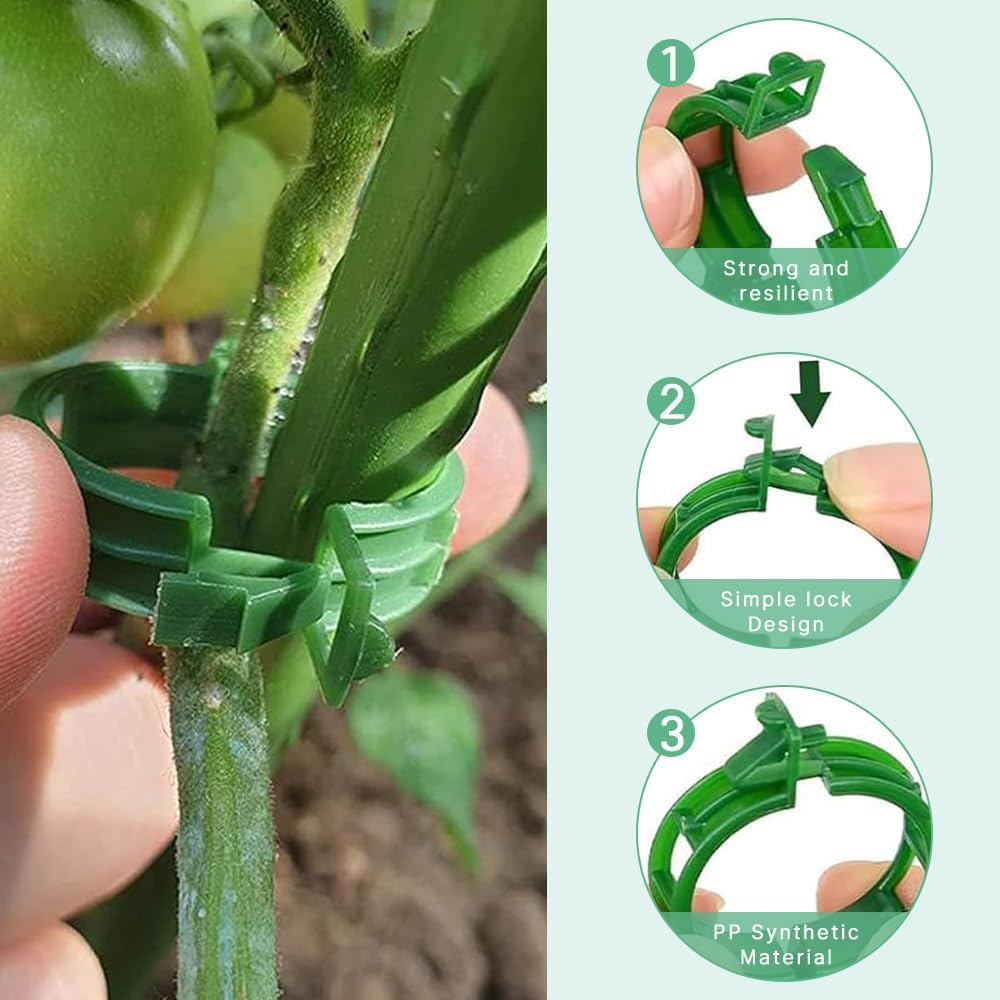 Secured Plastic Plant Clip - Reusable Support Clips for Climbing Plants & Vegetables (50 Pack, Green)