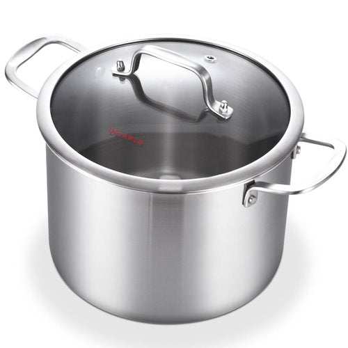DELARLO Tri-Ply Stainless Steel 8 Quart Stock Pot, Heavy-Duty, All Stove Compatible, Up to 600℉ Soup Pot with Lid, 18/10 Induction Big Stockpot with Lids, Large Stainless Steel Induction for Cooking