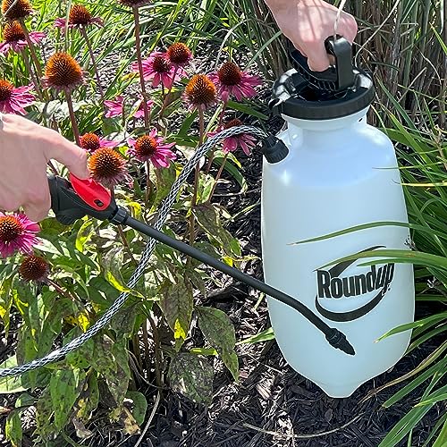 2 Gallon Lawn & Garden Sprayer for Weeds Insects & Deck Cleaning - Roundup