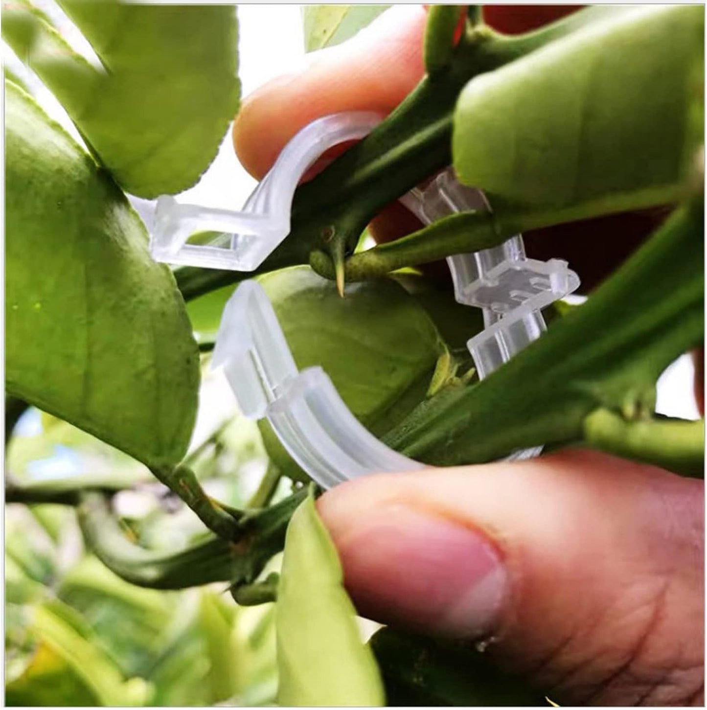 Skiennix 120 Pack Tomato Clips - Durable Plant Support Clips for Vertical Gardening | Ideal for Cucumbers, Orchids, and Vegetables