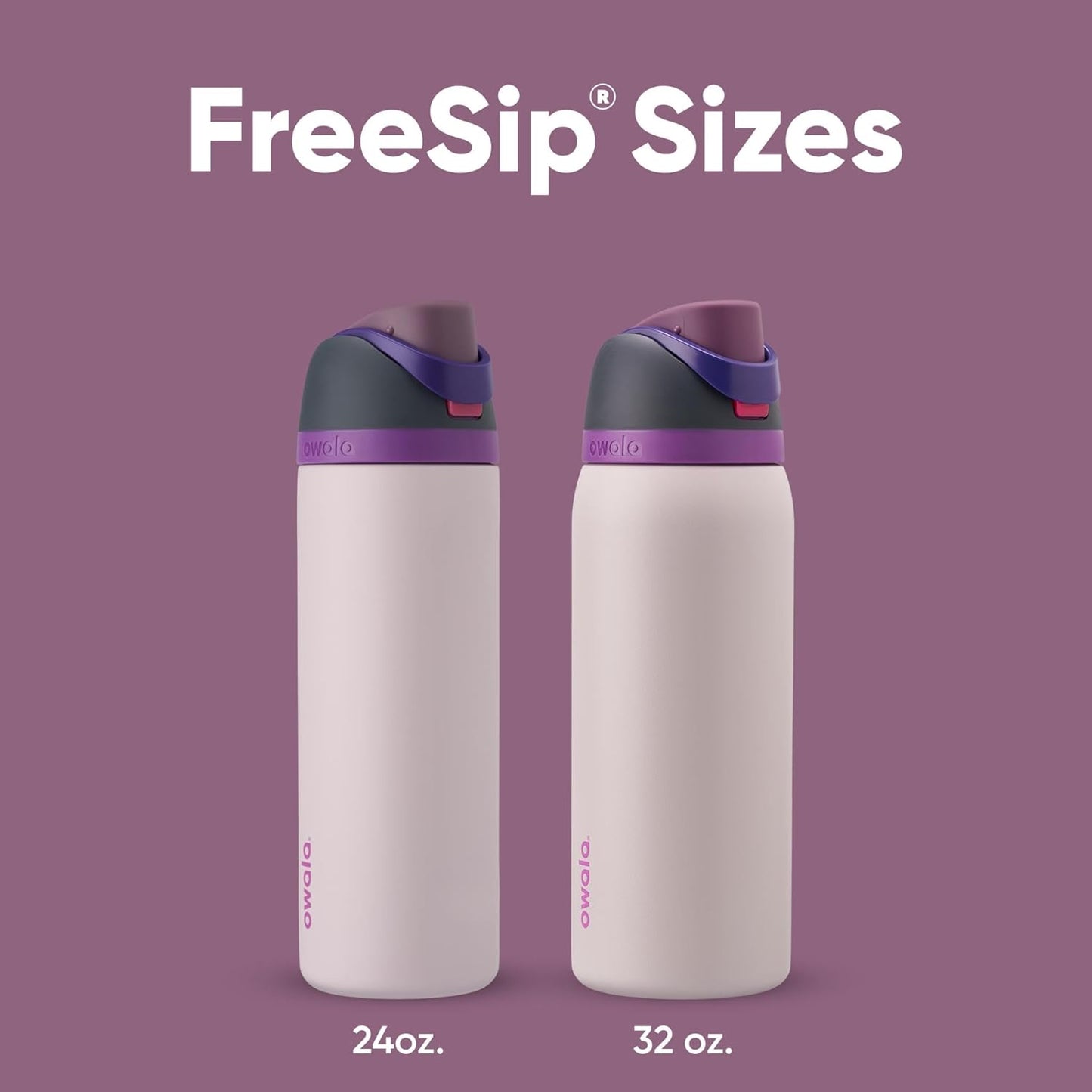 Owala FreeSip Insulated Stainless Steel Water Bottle - BPA-Free 24 oz with Straw | Dreamy Field Design
