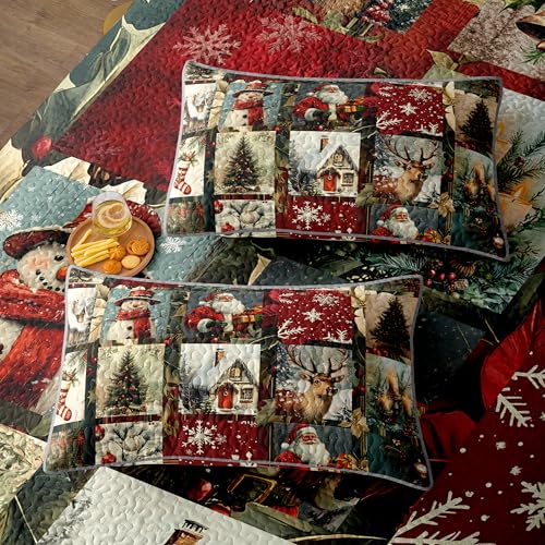 NIDITW 3-Piece Christmas Quilt Set Queen - Retro Plaid Winter Patchwork with 2 Shams