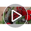 Wavyknot 20inch Christmas Wreath for Front Door - Luxury Pine, Burgundy Velvet Balls & Cedar