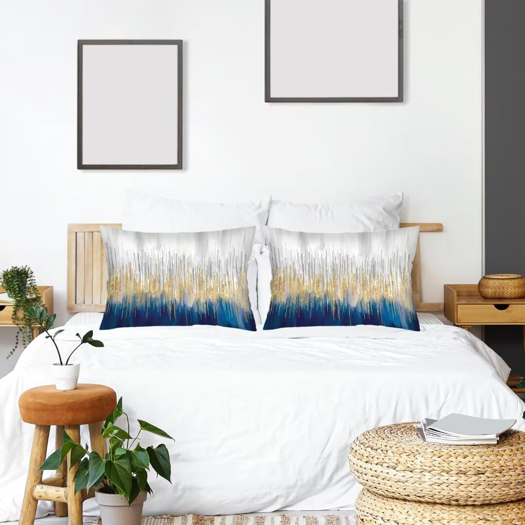 Blue Grey and Gold Art Painting Throw Pillow Cover Queen Size Set of 2,Abstract Lumbar Pillow Case Decorative Standard Pillow Cases with Zipper Modern Style Cushion Covers for Bed,Sofa,Couch,20"x30"