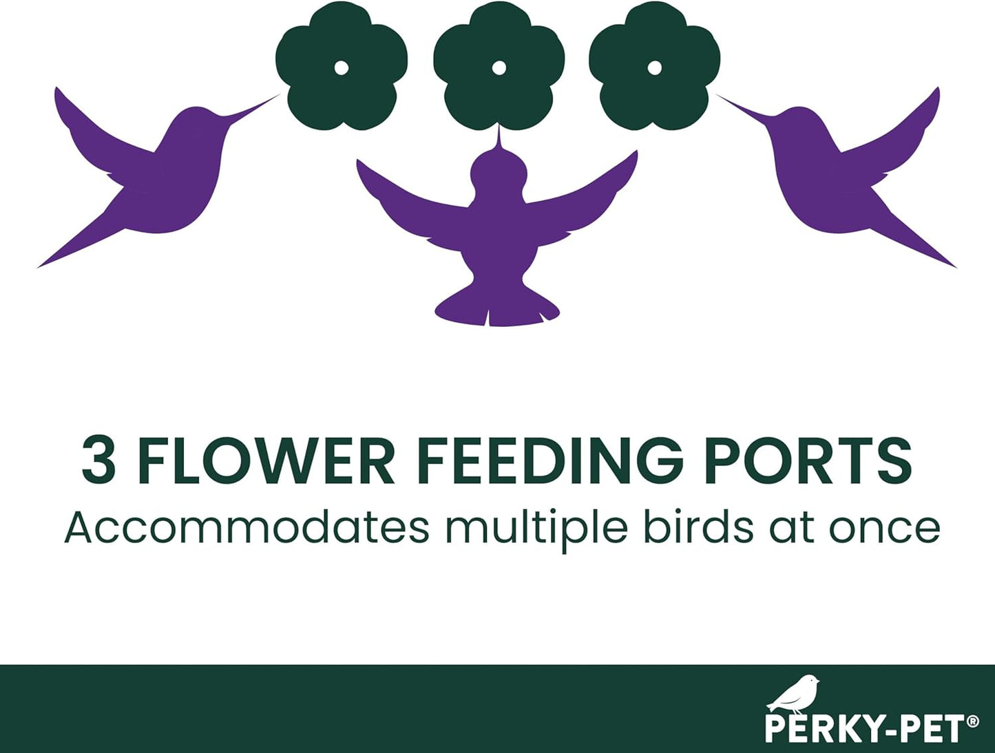 Perky-Pet Hummingbird Feeder - 8 oz Plastic Window Mount with Perches for Outdoor Use