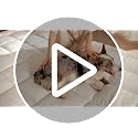 White King Size Breathable Cotton Mattress Topper with Deep Elastic Pocket & Plush Filling