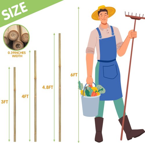 GAGINANG Bamboo Garden Stakes - 3FT Sturdy Natural Support for Climbing Plants | 25 Pcs Set