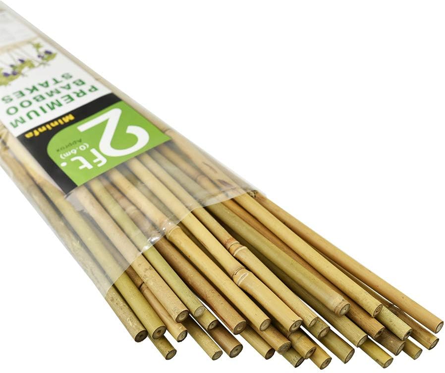 Mininfa Bamboo Garden Stakes - Eco-Friendly 2 Feet Plant Supports for Tomatoes, Trees & Beans | 30 Pack
