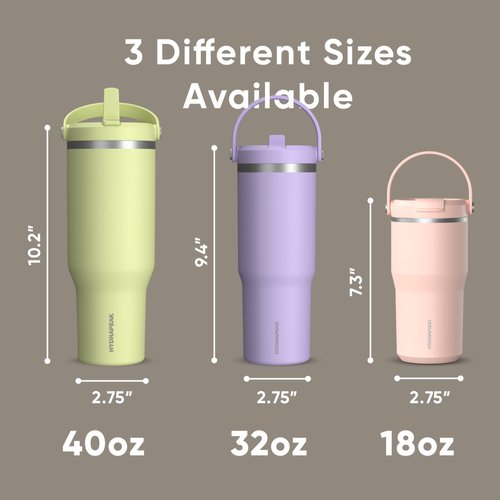 Hydrapeak Nomad 32 oz Tumbler with Handle and Straw Lid, Leakproof, Double Insulated, 32oz Cup Stainless Steel (ST-Latte)