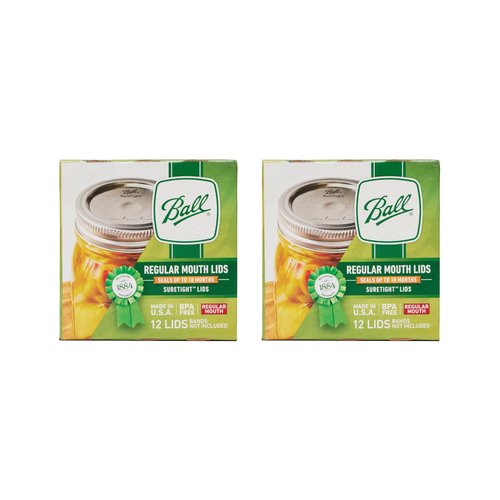 Ball Regular Mouth Mason Glass Jar Lids (24-Count), Silver