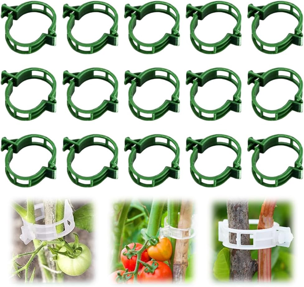 Skiennix Plant Clips - Secure Plastic Support for Climbing Plants | 50 Green Trellis Clips