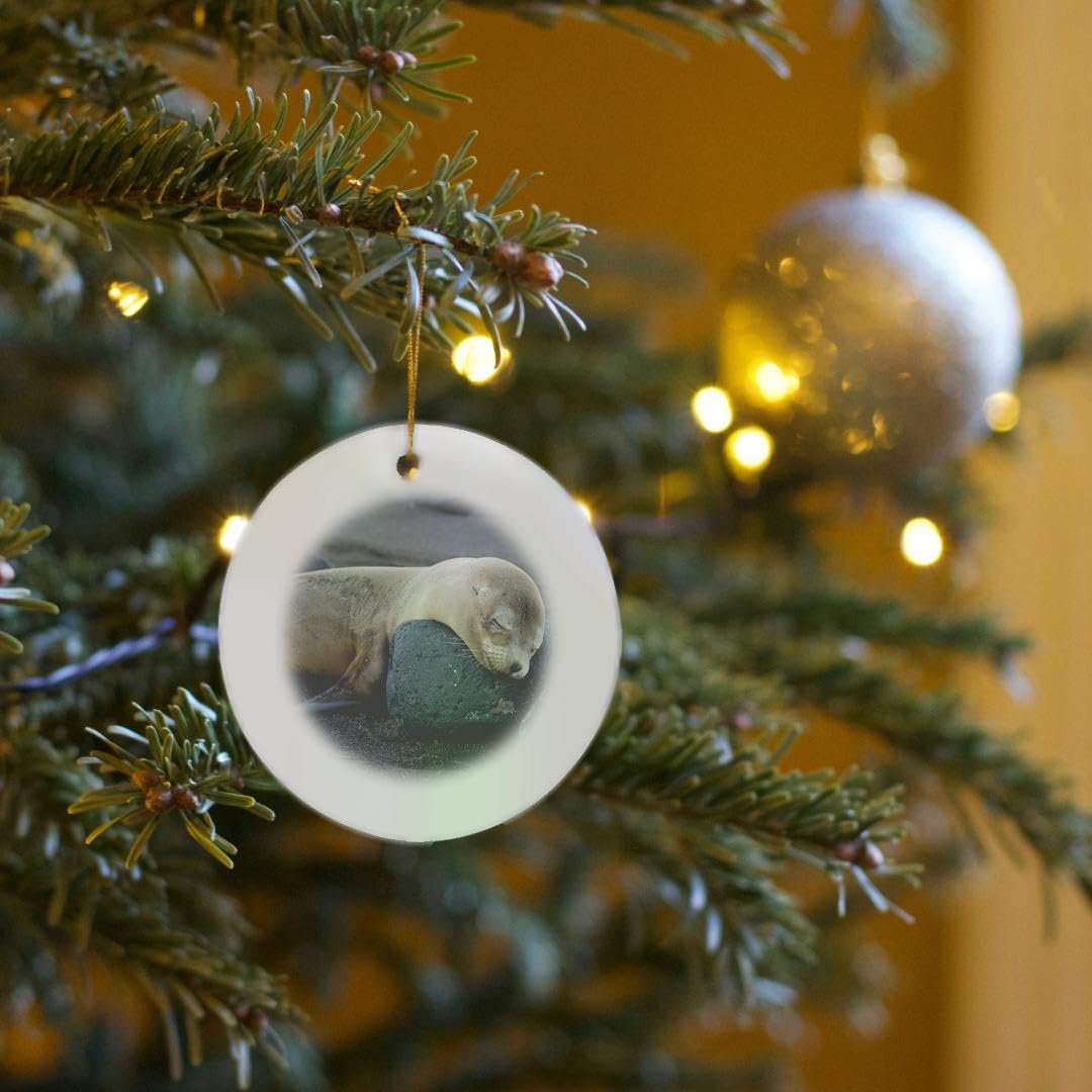 Galapagos Sea Lion Snowflake Ornament - 3DRose Ecuador Santiago Island Decor