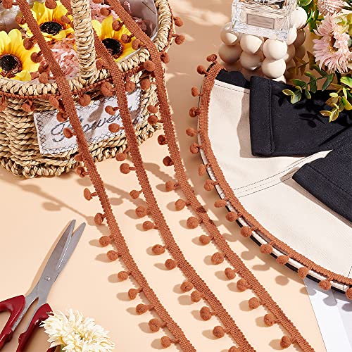 PH PandaHall 20 Yards Pom Poms Balls Fringe Trim, 24mm Trim Fringe Brown Sewing Ribbon Crafts Pompoms Tassel Lace for Sewing Pillow Clothing DIY Crafts Party Home Decoration, 8mm Balls