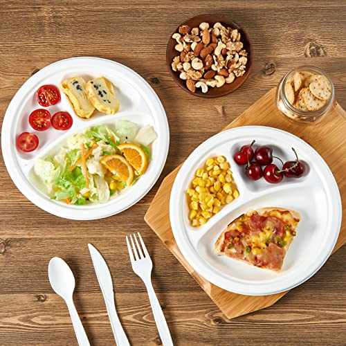 Vplus Compostable Plates 10 Inch 3-Compartment White Pack of 500 - Eco-Friendly Dinnerware