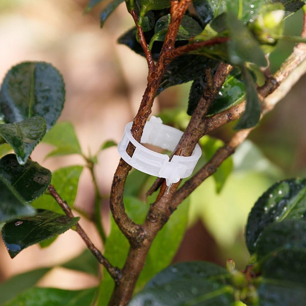 KINGLAKE Plant Support Clips - 200 Pcs Tomato Vine Trellis Clips for Healthy Upright Growth