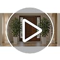 Dark Green Artificial Dracaena Tree 5FT Faux Plant with White Pot - Realistic Indoor Decor