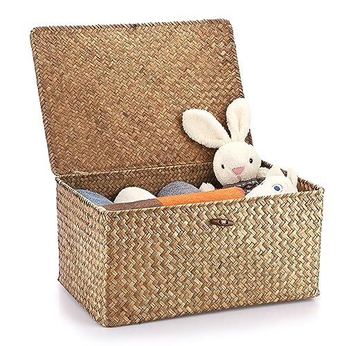 Hipiwe Wicker Shelf Baskets Bin with Lid Woven Storage Box, Coffee