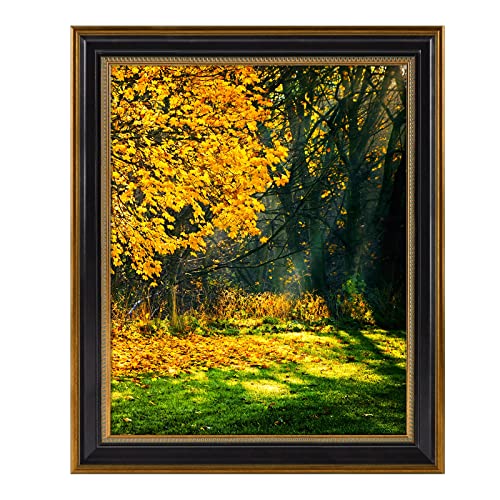 16x20 Ornate Picture Frame with Real Glass - Gold Black Poster Frame, Variation of THIS Listing