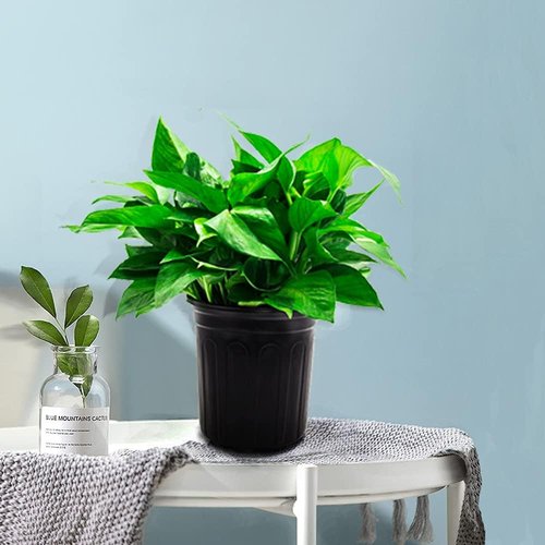 HECTOLIFE 50-Pack Flexible 1 Gallon Flower Nursery Pots - Durable Soft Plastic for Succulents & Seedlings | Black