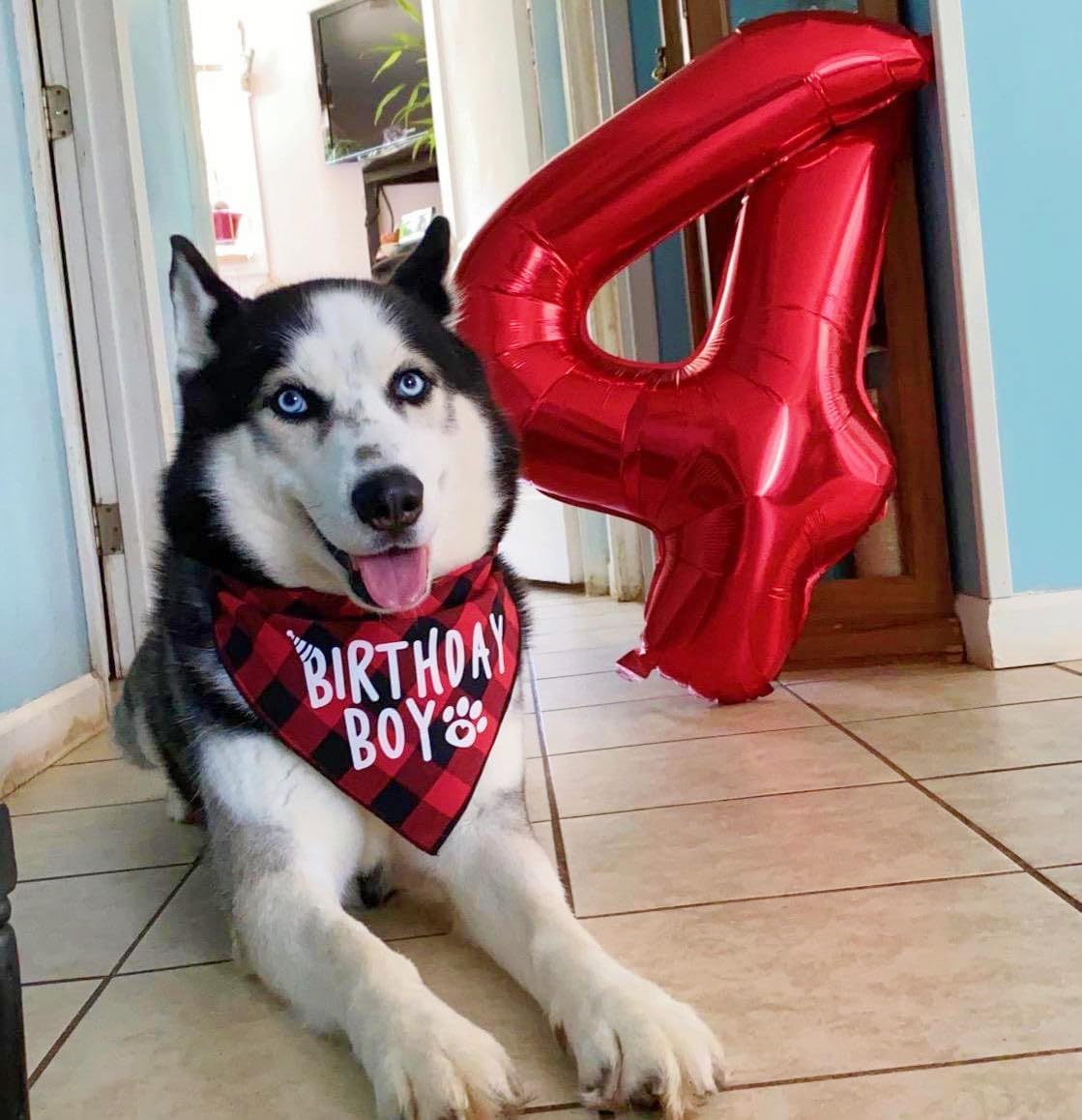 Number 6 Balloon - 40 Inch Red Birthday Decoration for 6th Birthday Celebrations | Perfect for Men & Women