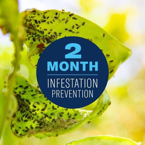 BioAdvanced Fruit & Citrus Tree Insect Control - 32 oz Pest Control Concentrate for 9 Trees