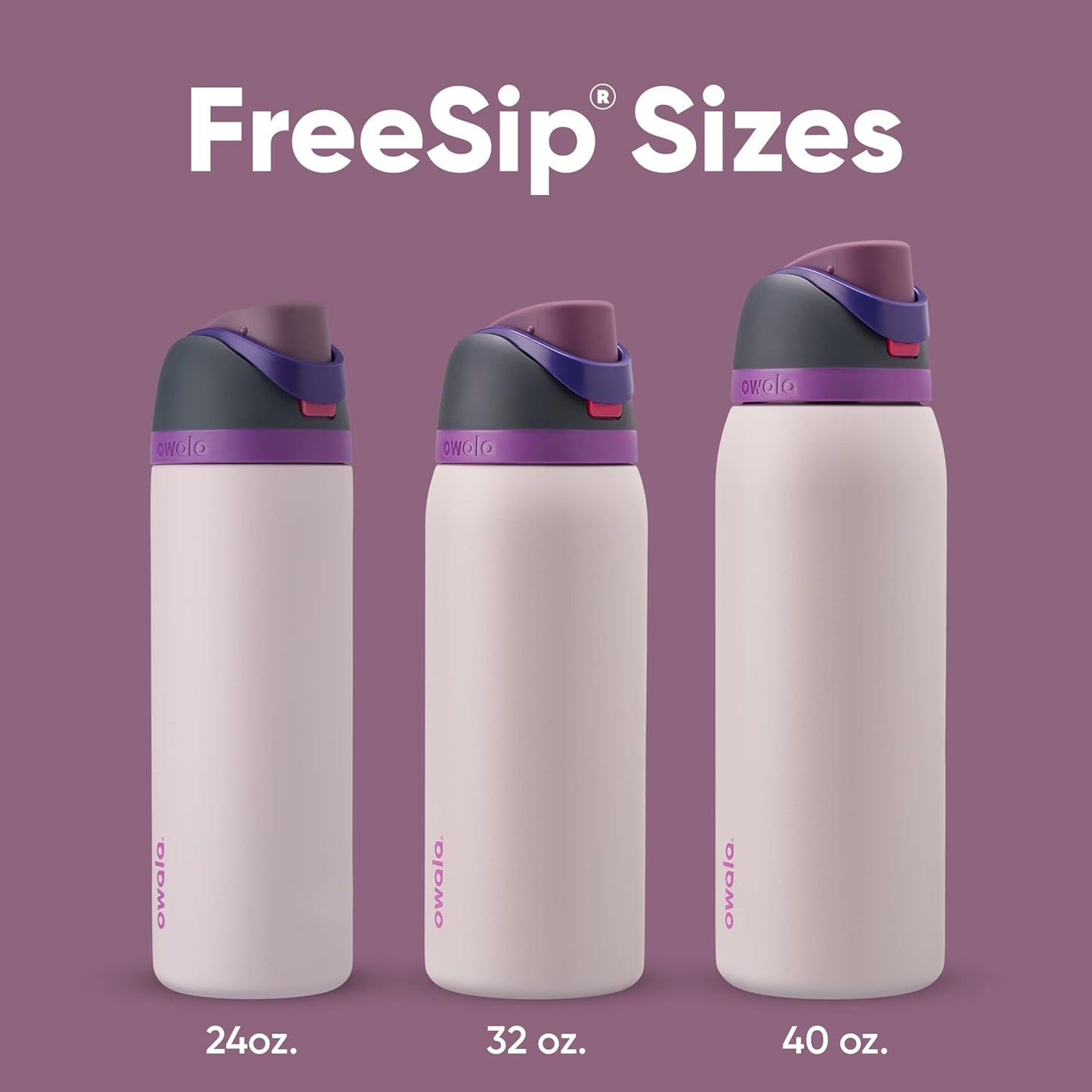Owala FreeSip Insulated Stainless Steel Water Bottle - BPA-Free 24 oz with Straw | Dreamy Field Design