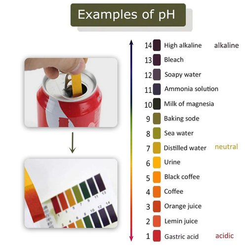 3 Pack pH.1-14 Test Paper Extensive Test Paper Litmus Test Paper 240 Strips pH Test with Storage Case for Saliva Urine Water Soil Testing Pet Food and Diet pH Monitoring (3 PACK with Storage Case)