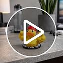 SpeakerMan Flex-mas Display Muscle Duck Christmas Ornament for Jeep Dashboard