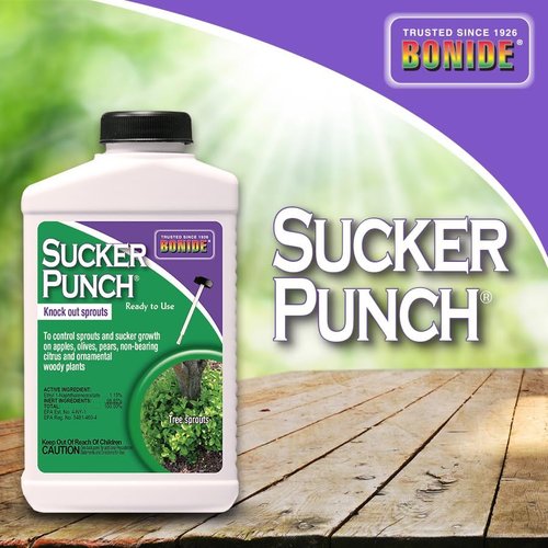 Bonide Sucker Punch - Stop Suckers Sprouting from Roots & Pruning Cuts | Ready to Use (8 oz.)