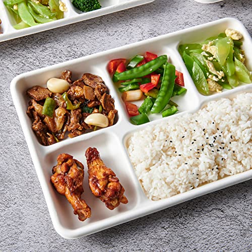 Compostable 5-Compartment Paper Plates 100 Pack Eco-Friendly Disposable Dinnerware
