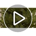 Puleo International 4.5ft Slim Fraser Fir Artificial Christmas Tree with 150 Clear Lights