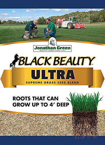 Black Beauty Ultra Grass Seed - 7 lb Lawn Mix for Drought & Disease Resistance